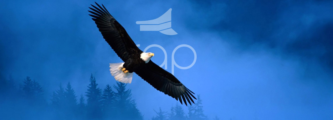 aquila